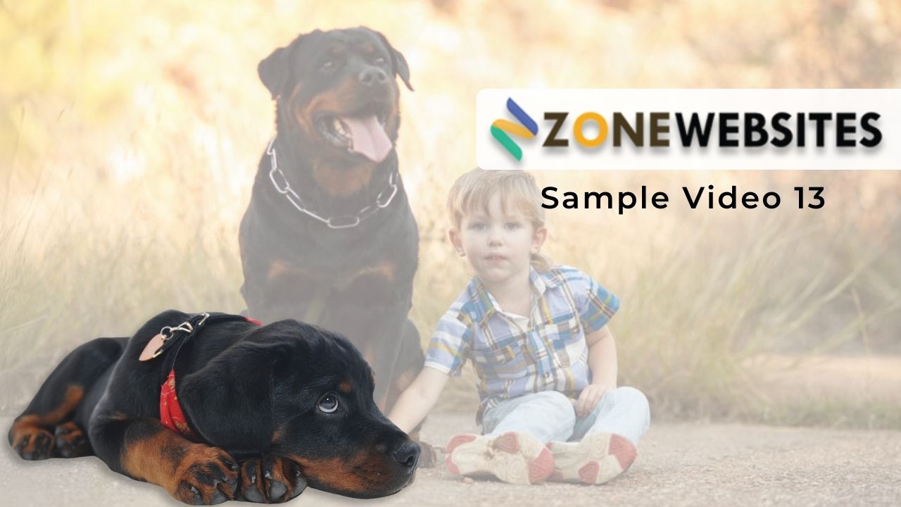 Promo Video for Breeding, Training & Delivery of Rottweiler Puppies