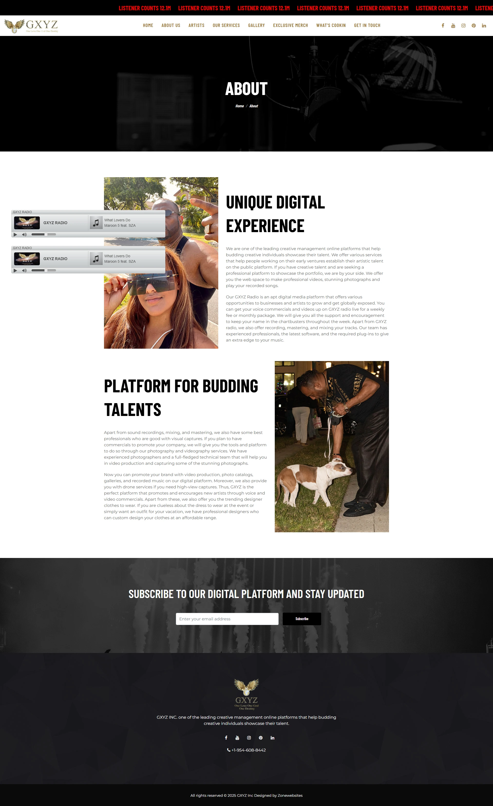 asset($item->image_alt)