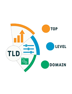 Buy High TLD Score Domains