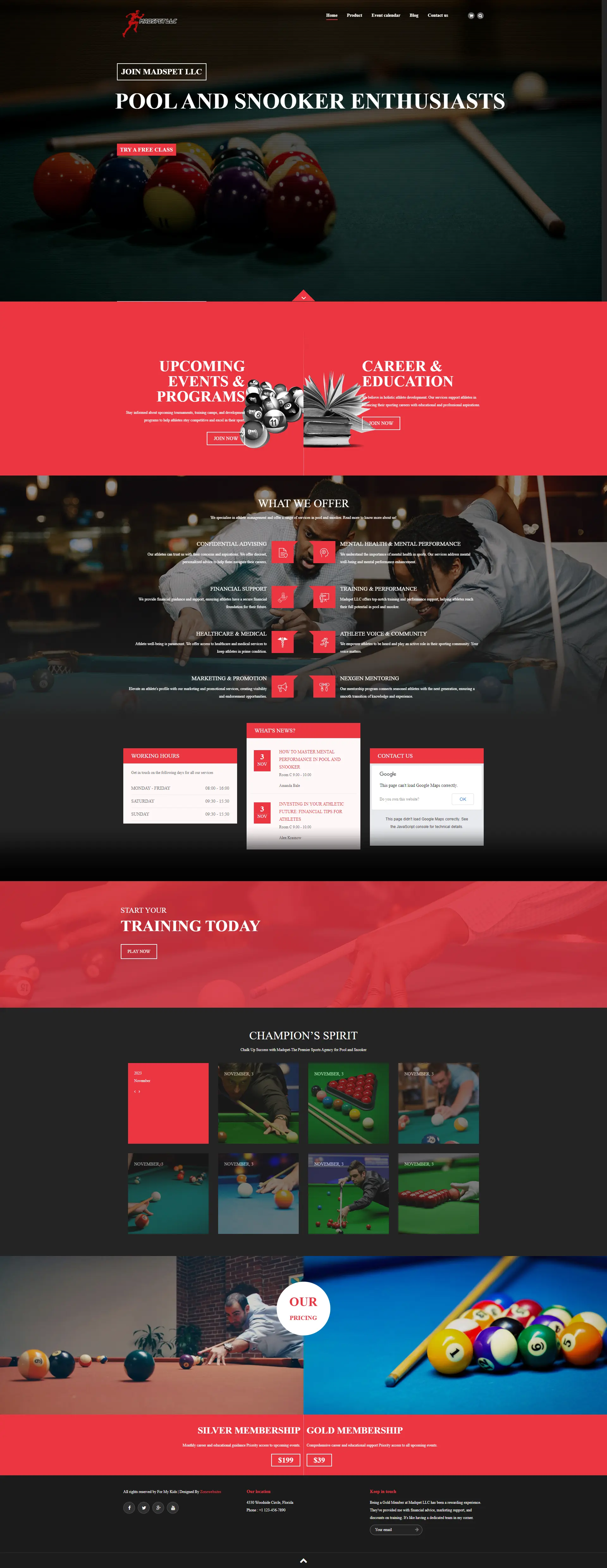 Madpet | Excellent Pool and Snooker Website Theme