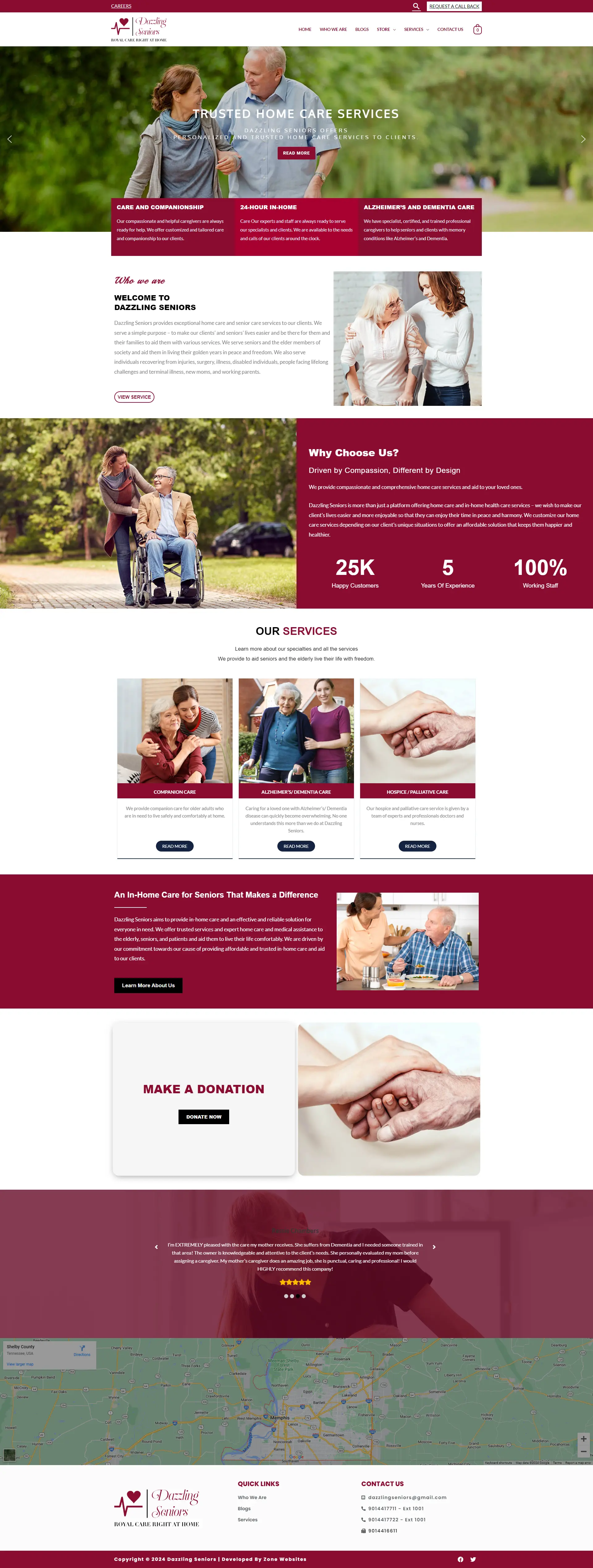 Dazzling Seniors - Modern Healthcare Website Layout