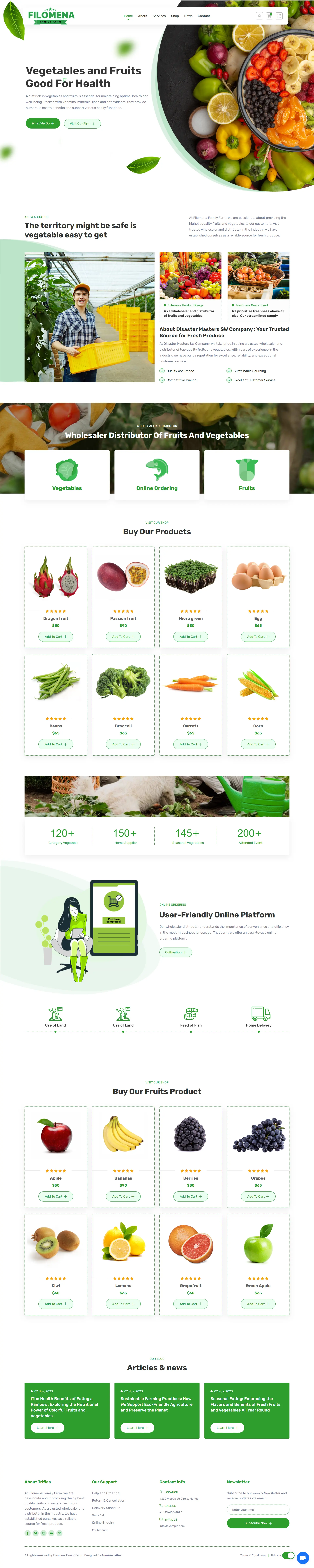 Attractive Website Layout for a Fruits & Vegetables Shop