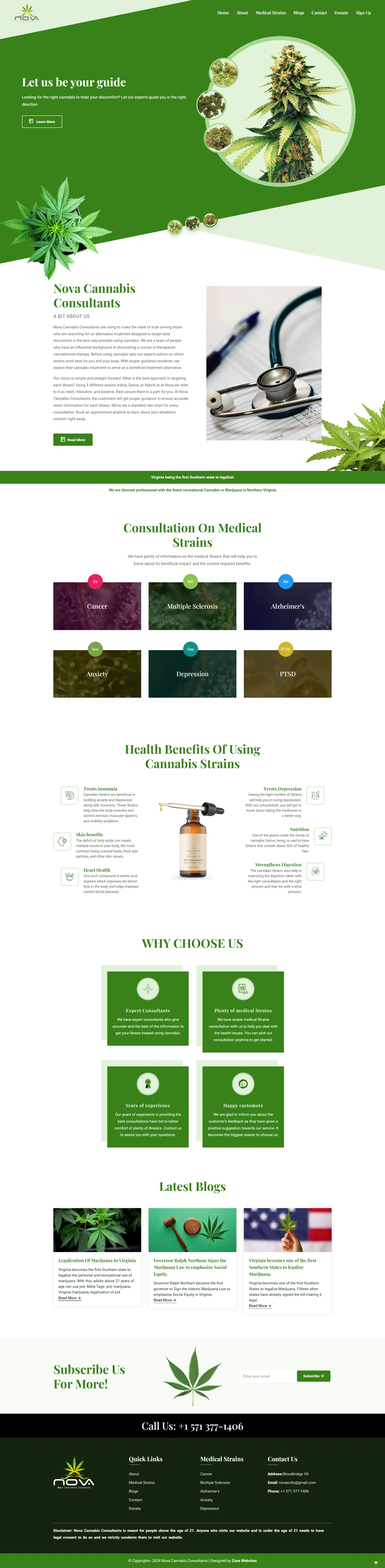 Healthcare Website Layout for Cannabis Consultant Agencies